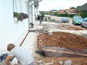 DSC01781